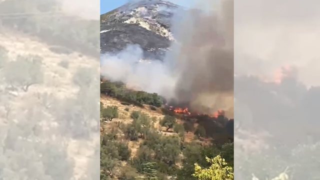 Flakët në Panaja djegin një sipërfaqe të konsiderueshme me bimësi, vatër aktive zjarri edhe në Selenicë