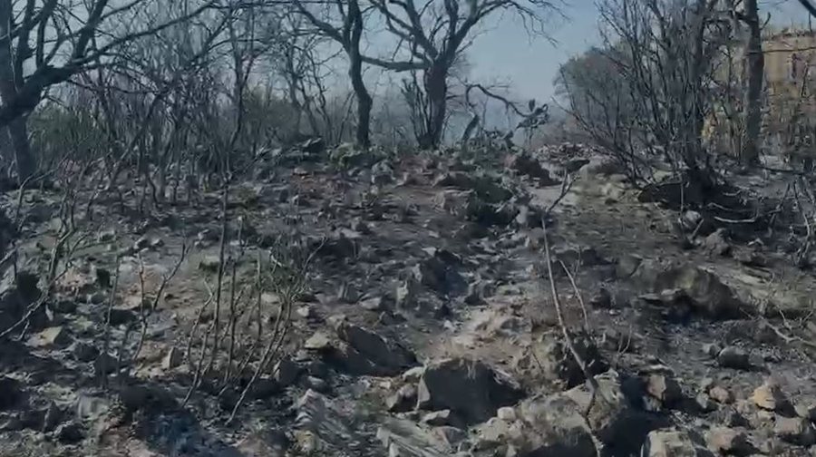 Banesa, tokë dhe ullinj të shkrumbuar, Himara një ditë pas zjarrit