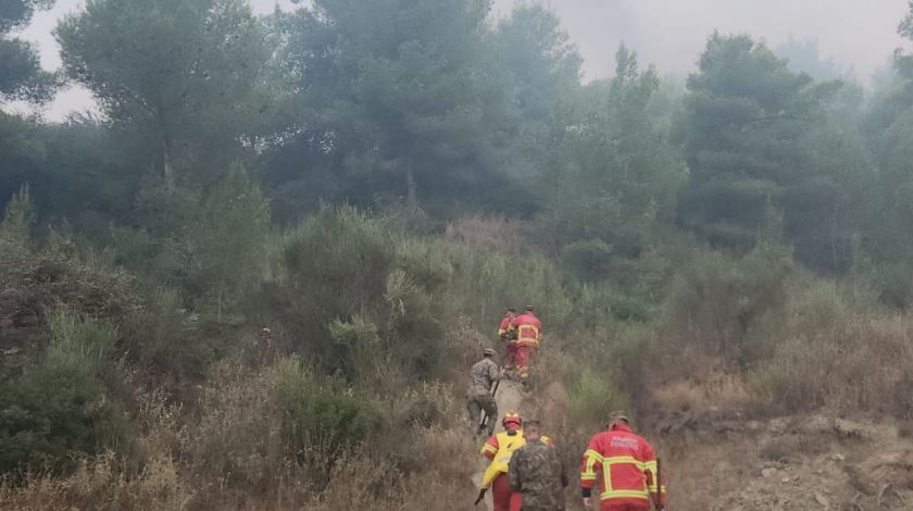 Dyshohen për zjarrvënie në Fier, arrestohet një person dhe procedohet penalisht një tjetër