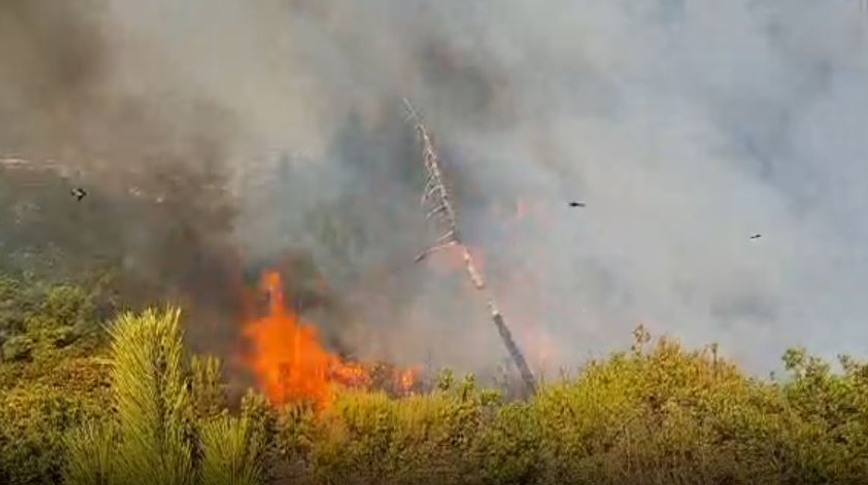 Shkodër/ Zjarri në Myselim dhe kodrat e Bardhajt, flakët u afrohen banesave