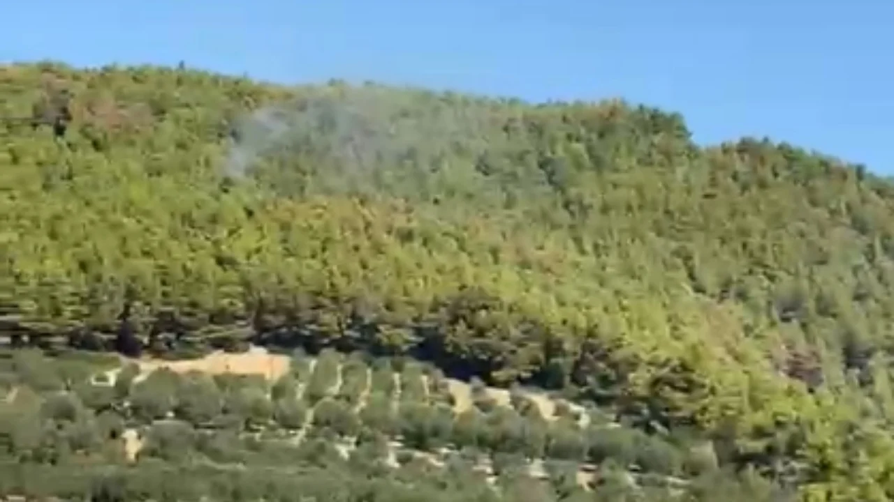 Dyshime për zjarrvënie të qëllimshme në Peshtan/ Banori ngre alarmin: Dje u shua, sot digjet një tjetër zonë