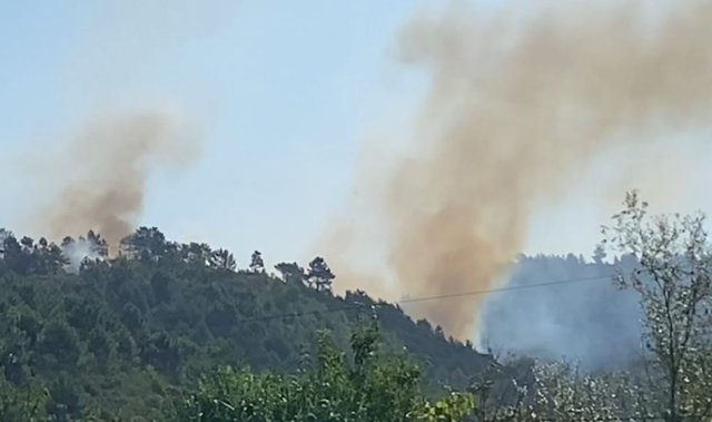 Alarm për zjarret në Shkodër/ Flakët përhapen në mbi 10 kilometra në kurorën pyjore