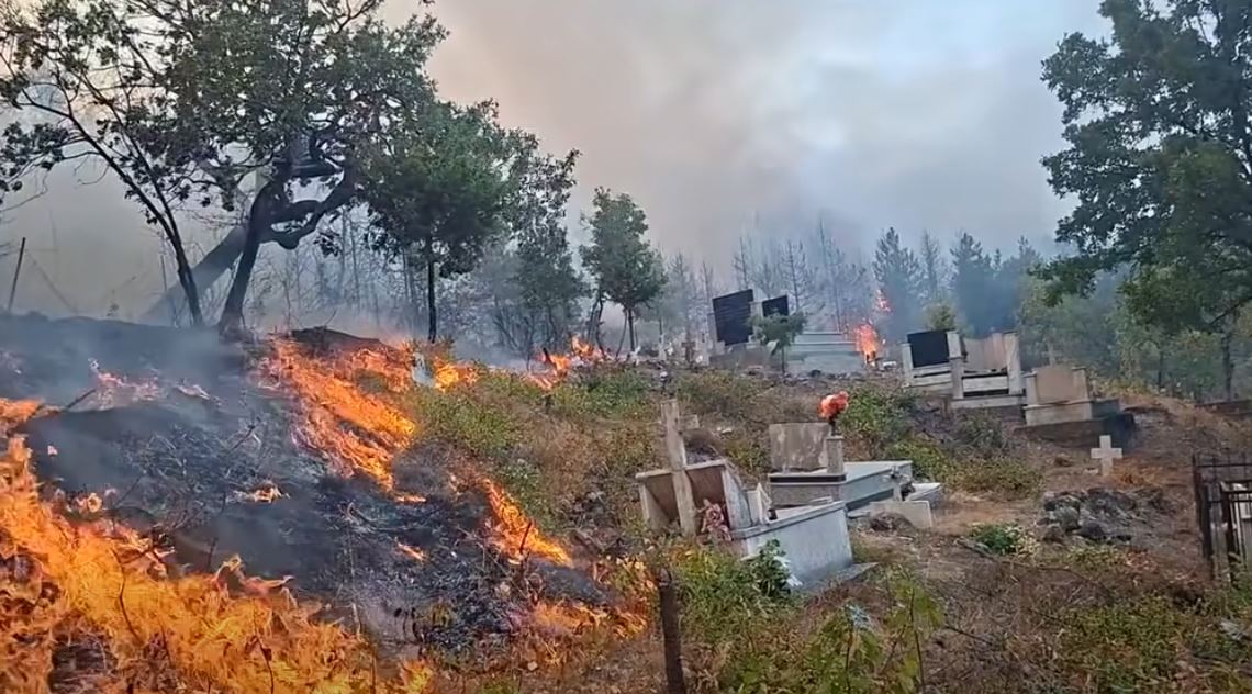 Zjarri ‘pushton’ varret në Ungrej të Lezhës/ Gjekmarkaj: Rreziku ka mbërritur pranë shtëpive, kërkohet ndërhyrje urgjente