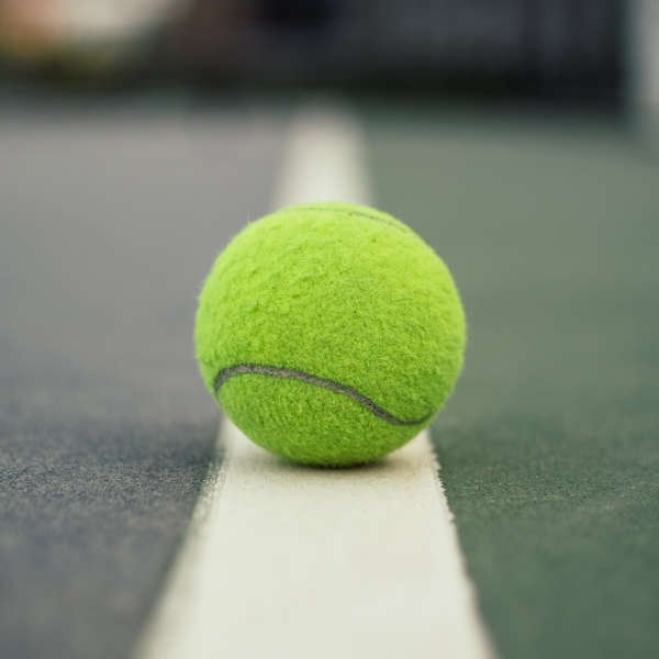 Zverev siguron çerekfinalet e US Open