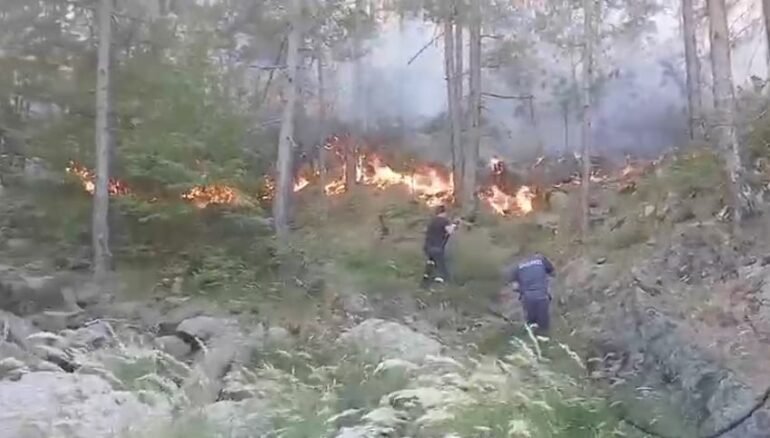Vijon prej tre ditësh zjarri në malin e Tërbunit në Pukë, rrezikohet një banesë dhe stacioni i furnizimit me ujë