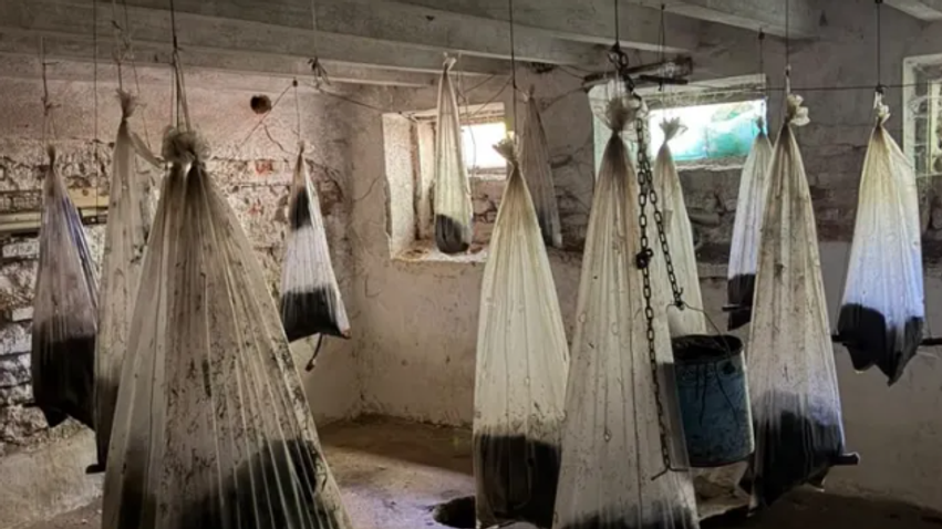  Janë serbë  njëri është narkoman që i torturoi shqiptarët   kultivohej drogë  kush janë të dyshuarit për rastin në ish shkollën teknike në Obiliq 