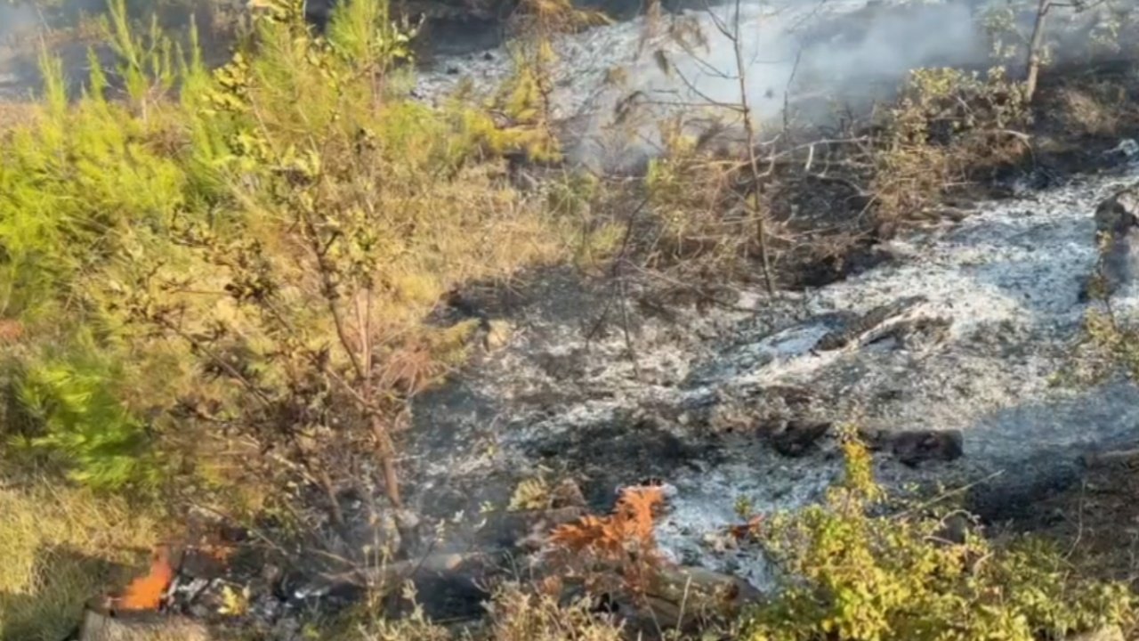 Zjarri në Mallakastër, riaktivizohen vatrat në Çërrilë, era dhe temperaturat e larta favorizojnë flakët