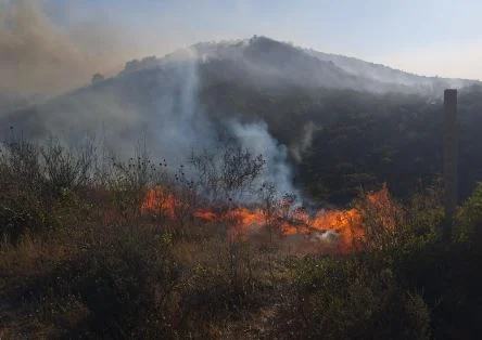 Situatë e vështirë me zjarret, aktive vatrat në gjashtë qarqe të vendit