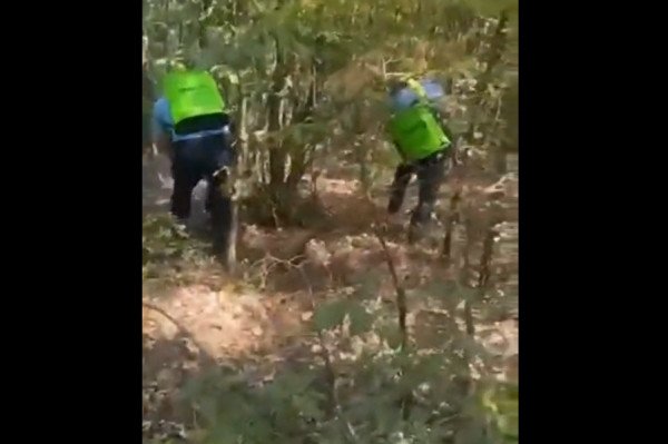​Zjarri rrezikoi shtëpitë në Belinc, ndërhyjnë policia dhe zjarrfikësit
