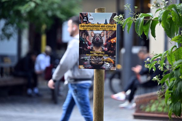 ​Minjtë pushtojnë “Grand Place” zemrën turistike të Brukselit