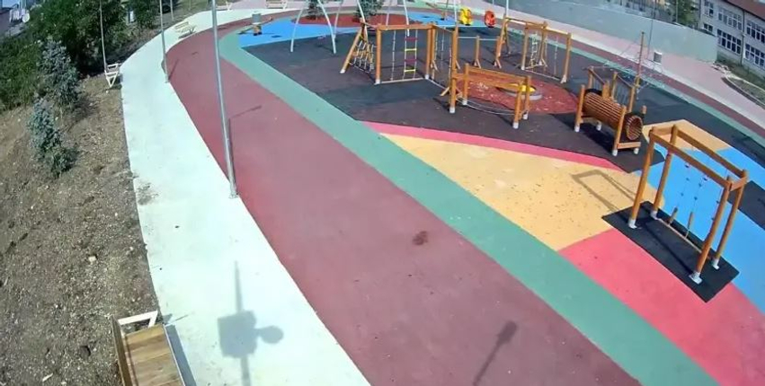 Vendoset kamera e parë monitoruese në parkun e Kalabrisë