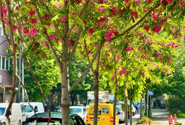 Vikend me reshje e diell në Kosovë, temperaturat deri në 28 gradë162