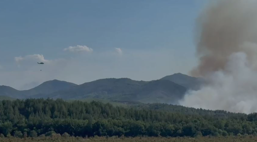 Zjarret, 3 vatra aktive/ Shuhen flakët në Dibër dhe Fier