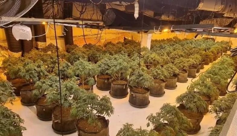 Kthyen ish-qendrën tregtare në “shtëpi bari”, kapen mat dy shqiptarët në Angli