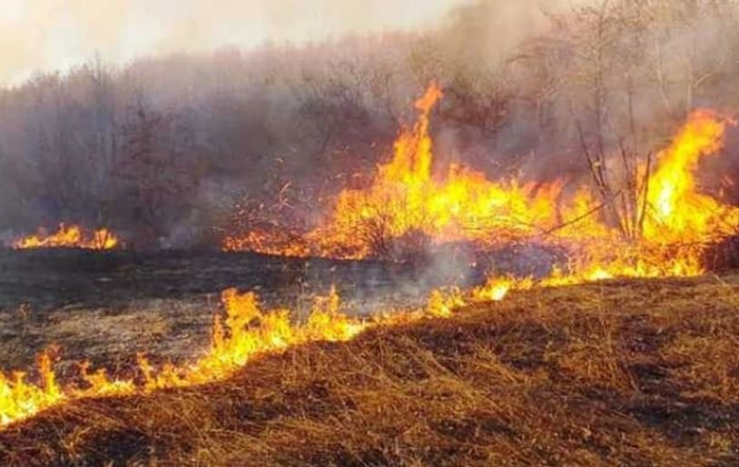 Janë regjistruar 138 zjarre në zonat pyjore, dëmet mbi 4 milionë euro