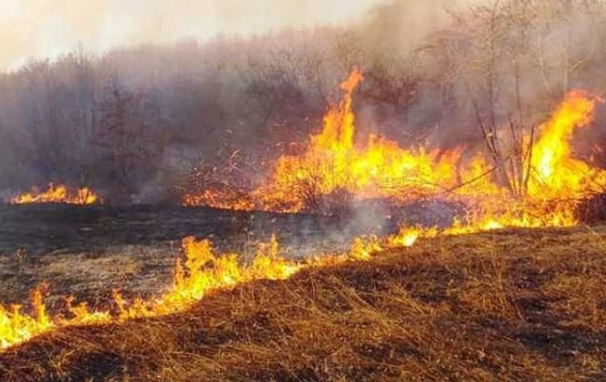Janë regjistruar 138 zjarre në zonat pyjore  dëmet mbi 4 milionë euro