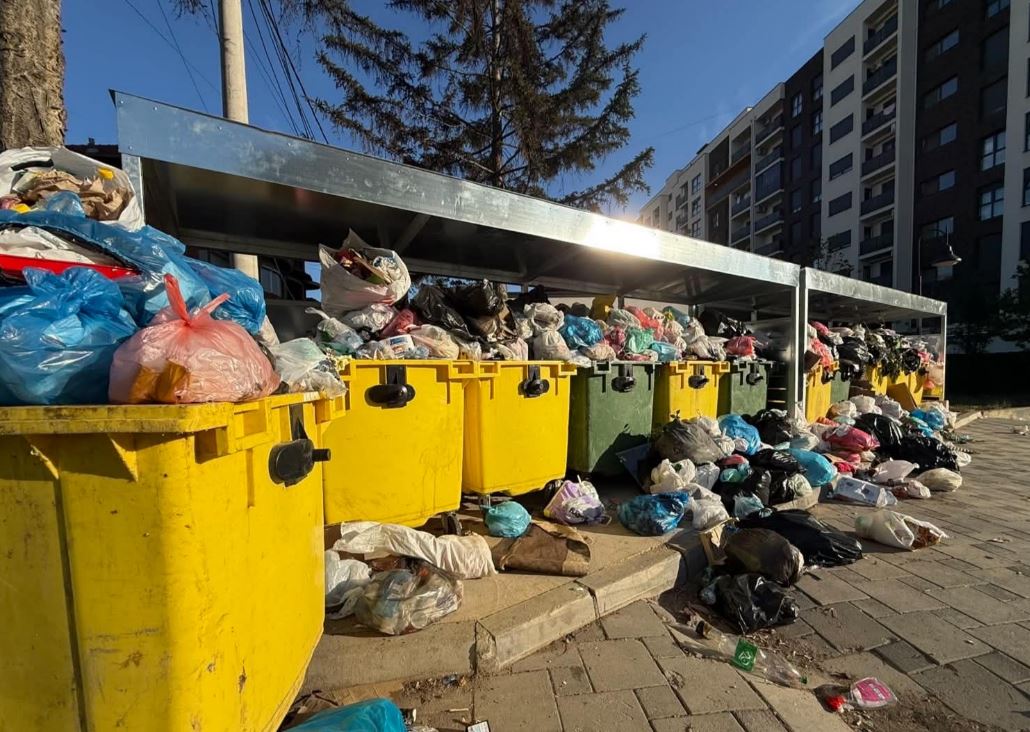 Bërllog i madh del nga kontejnerët në rrugën “Gjergj Fishta” 