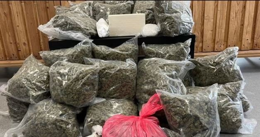 kultivoi-18-kg-droge-arrestohet-shqiptari-ne-vjene-sekuestrohen-kokaine-marihuane-dhe-crystal-meth