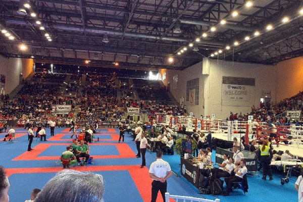 Dy medalje botërore për Kosovën në kikboks