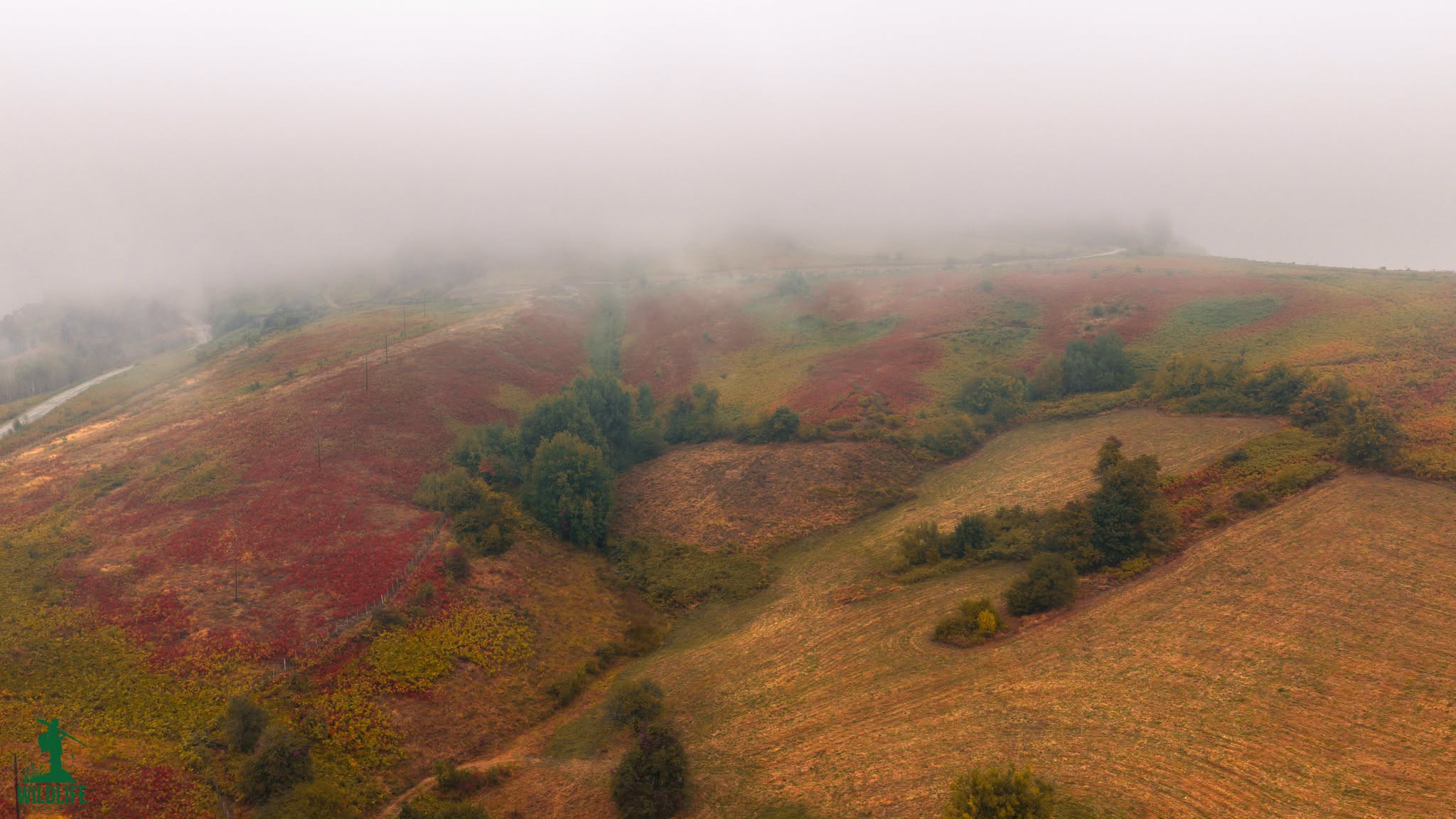 Pamje e bukur nga fillimi i stin&euml;s s&euml; vjesht&euml;s! Foto: Arian Mavriqi
