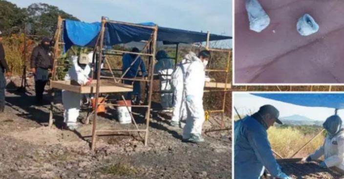 Zbulim i pazakontë në Meksikë, gjenden rreth 1600 dhëmbë qumështi në zonë të dyshuar si varr masiv